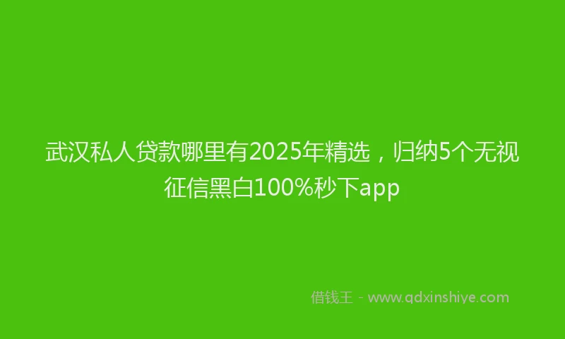 武汉私人贷款哪里有2025年精选，归纳5个无视征信黑白100%秒下app