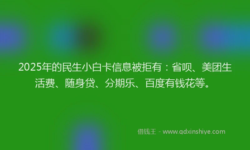 2025年的民生小白卡信息被拒有：省呗、美团生活费、随身贷、分期乐、百度有钱花等。