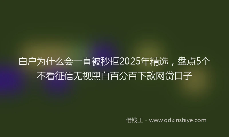 白户为什么会一直被秒拒2025年精选，盘点5个不看征信无视黑白百分百下款网贷口子