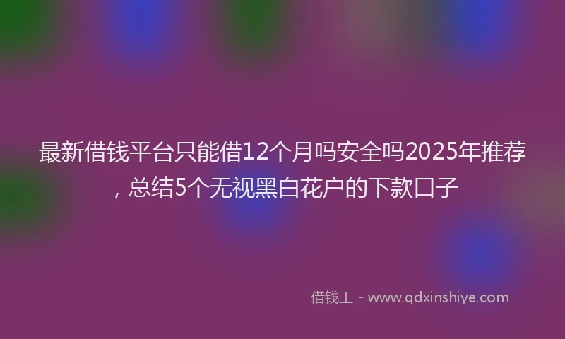 最新借钱平台只能借12个月吗安全吗2025年推荐，总结5个无视黑白花户的下款口子