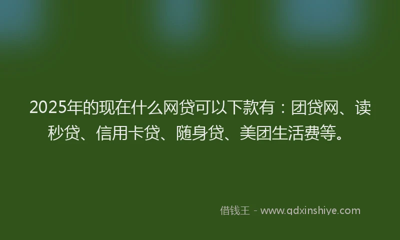 2025年的现在什么网贷可以下款有：团贷网、读秒贷、信用卡贷、随身贷、美团生活费等。
