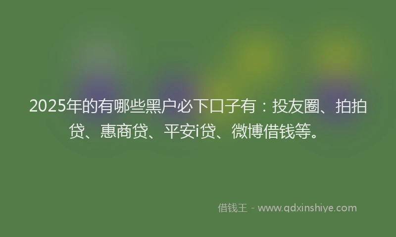 2025年的有哪些黑户必下口子有：投友圈、拍拍贷、惠商贷、平安i贷、微博借钱等。