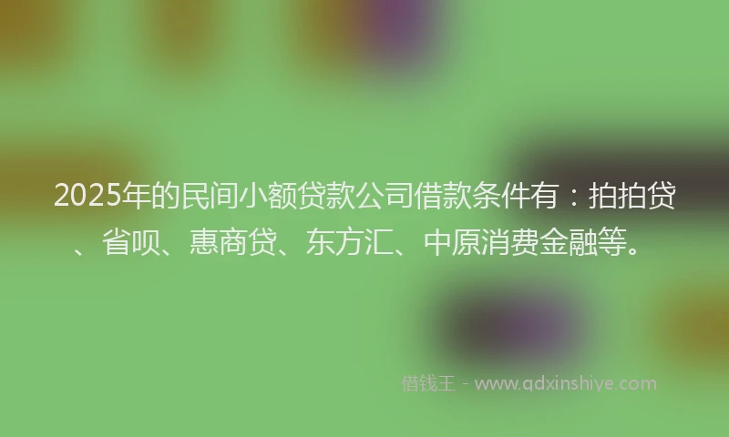 2025年的民间小额贷款公司借款条件有：拍拍贷、省呗、惠商贷、东方汇、中原消费金融等。