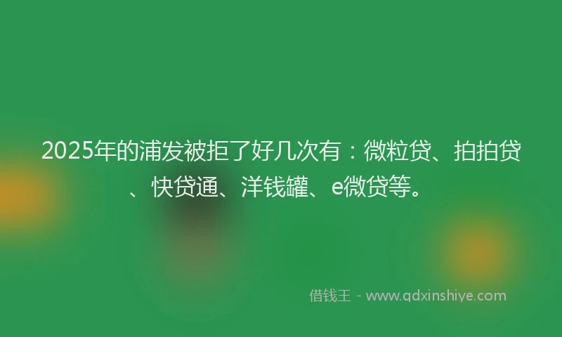 2025年的浦发被拒了好几次有：微粒贷、拍拍贷、快贷通、洋钱罐、e微贷等。