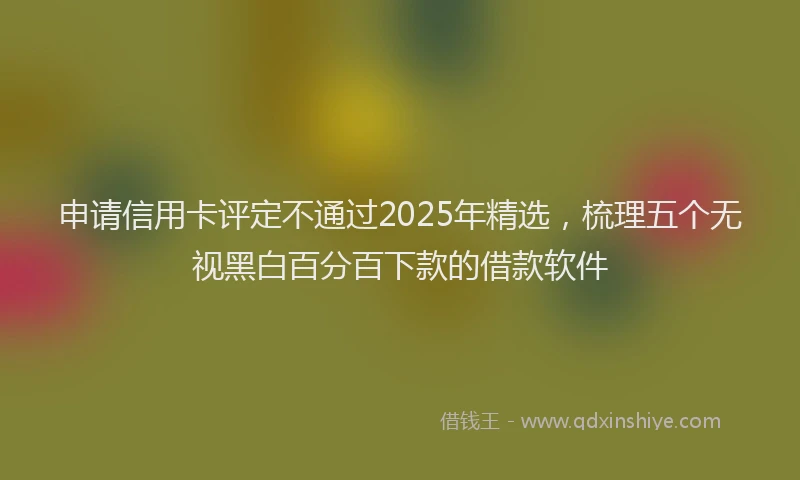 申请信用卡评定不通过2025年精选，梳理五个无视黑白百分百下款的借款软件