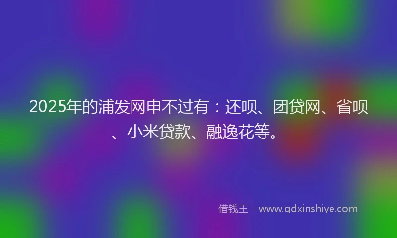 2025年的浦发网申不过有：还呗、团贷网、省呗、小米贷款、融逸花等。