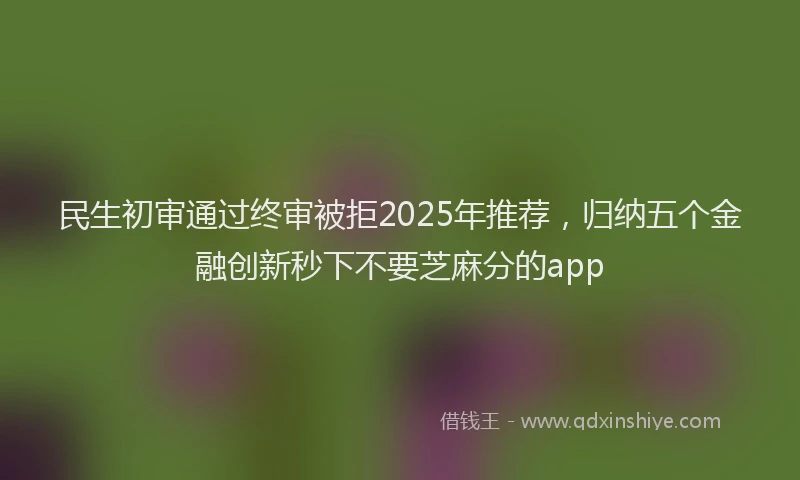 民生初审通过终审被拒2025年推荐，归纳五个金融创新秒下不要芝麻分的app