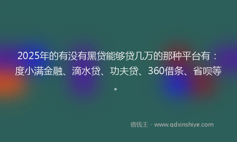 2025年的有没有黑贷能够贷几万的那种平台有：度小满金融、滴水贷、功夫贷、360借条、省呗等。