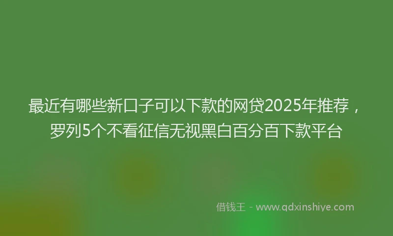 最近有哪些新口子可以下款的网贷2025年推荐，罗列5个不看征信无视黑白百分百下款平台