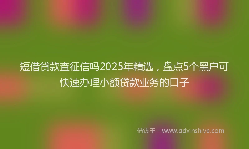 短借贷款查征信吗2025年精选，盘点5个黑户可快速办理小额贷款业务的口子