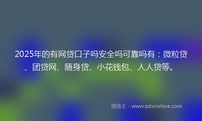 2025年的有网贷口子吗安全吗可靠吗有：微粒贷、团贷网、随身贷、小花钱包、人人贷等。