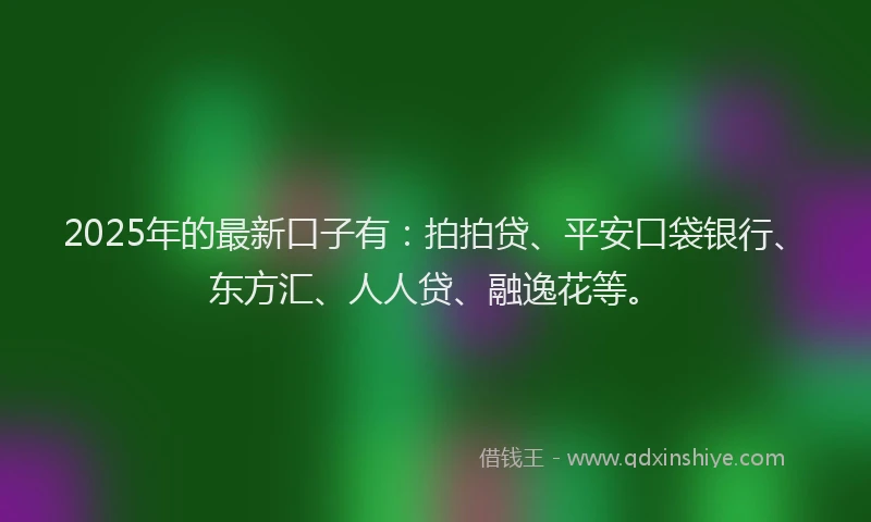 2025年的最新口子有：拍拍贷、平安口袋银行、东方汇、人人贷、融逸花等。