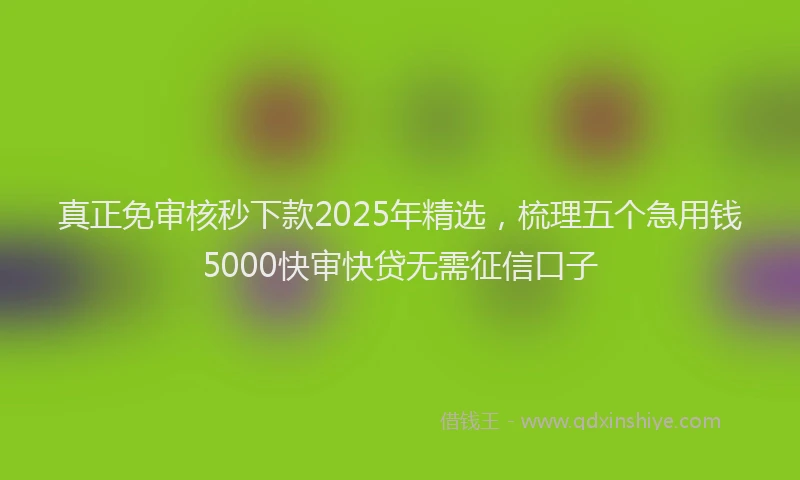 真正免审核秒下款2025年精选，梳理五个急用钱5000快审快贷无需征信口子
