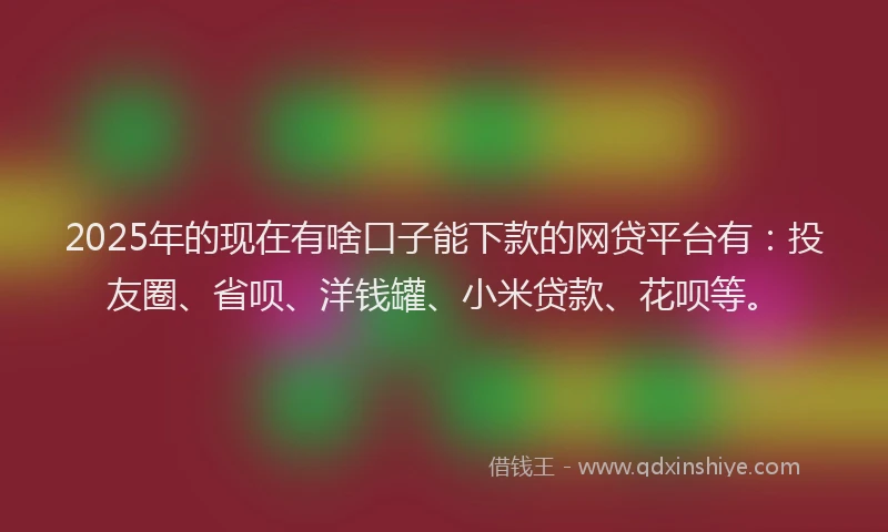 2025年的现在有啥口子能下款的网贷平台有：投友圈、省呗、洋钱罐、小米贷款、花呗等。