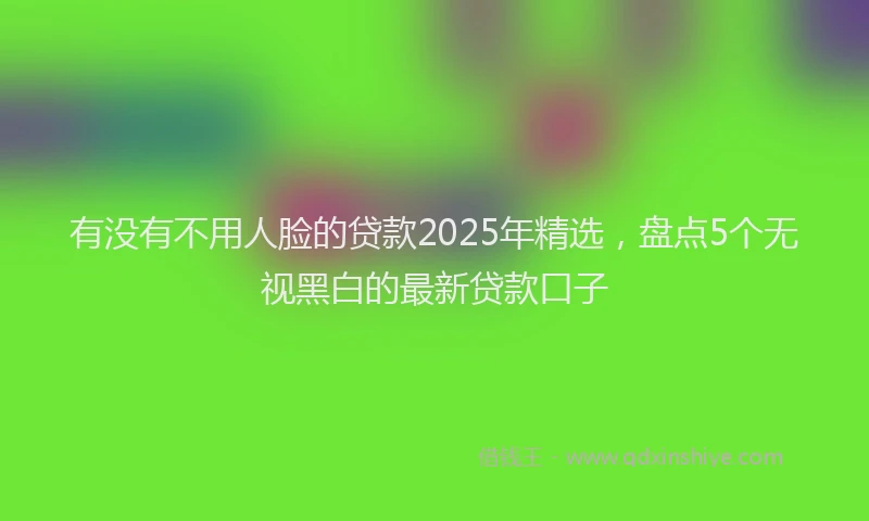 有没有不用人脸的贷款2025年精选，盘点5个无视黑白的最新贷款口子