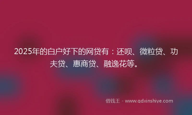 2025年的白户好下的网贷有：还呗、微粒贷、功夫贷、惠商贷、融逸花等。