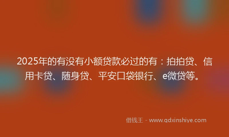 2025年的有没有小额贷款必过的有：拍拍贷、信用卡贷、随身贷、平安口袋银行、e微贷等。