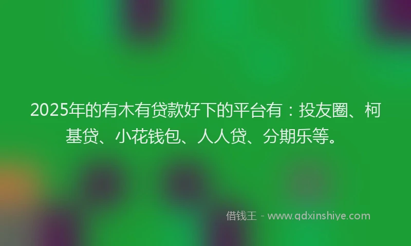 2025年的有木有贷款好下的平台有：投友圈、柯基贷、小花钱包、人人贷、分期乐等。