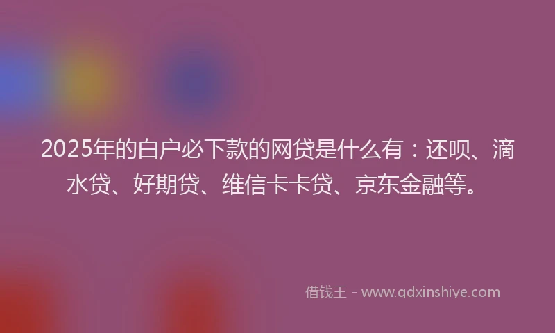 2025年的白户必下款的网贷是什么有：还呗、滴水贷、好期贷、维信卡卡贷、京东金融等。