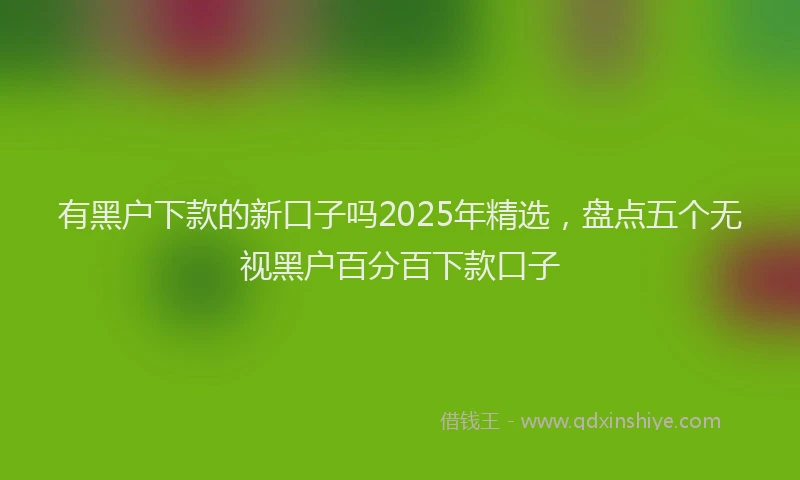 有黑户下款的新口子吗2025年精选，盘点五个无视黑户百分百下款口子