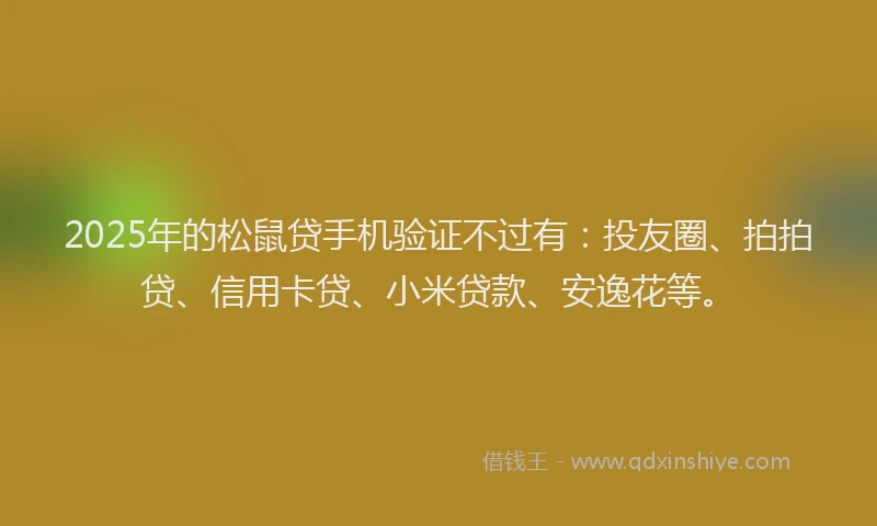 2025年的松鼠贷手机验证不过有：投友圈、拍拍贷、信用卡贷、小米贷款、安逸花等。