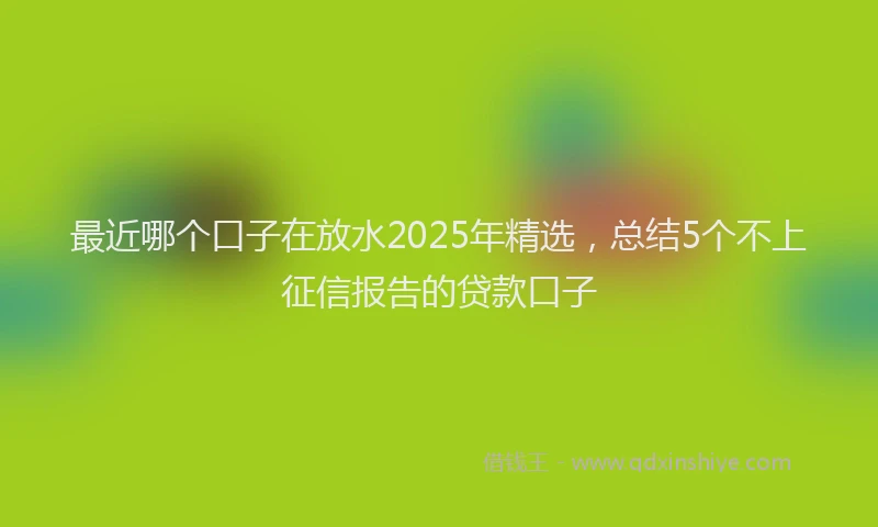 最近哪个口子在放水2025年精选，总结5个不上征信报告的贷款口子