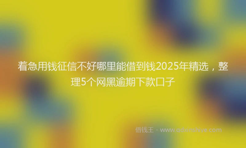 着急用钱征信不好哪里能借到钱2025年精选，整理5个网黑逾期下款口子