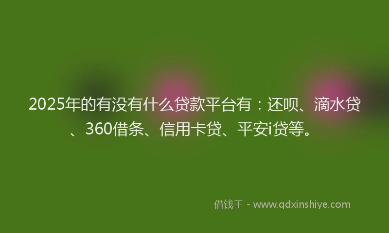 2025年的有没有什么贷款平台有：还呗、滴水贷、360借条、信用卡贷、平安i贷等。