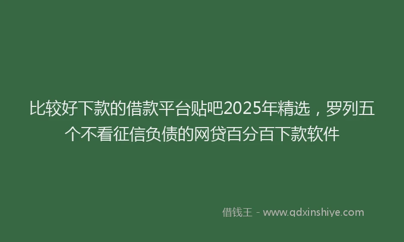 比较好下款的借款平台贴吧2025年精选，罗列五个不看征信负债的网贷百分百下款软件
