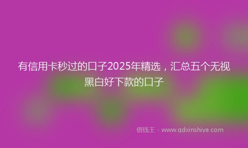 有信用卡秒过的口子2025年精选，汇总五个无视黑白好下款的口子