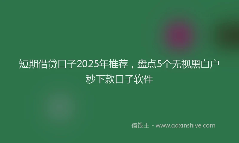 短期借贷口子2025年推荐，盘点5个无视黑白户秒下款口子软件