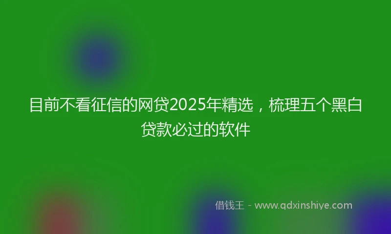 目前不看征信的网贷2025年精选，梳理五个黑白贷款必过的软件