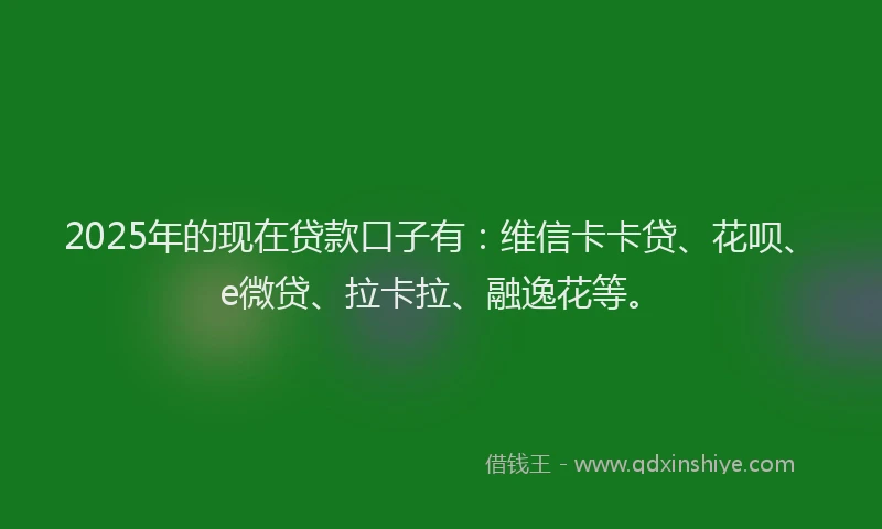 2025年的现在贷款口子有：维信卡卡贷、花呗、e微贷、拉卡拉、融逸花等。