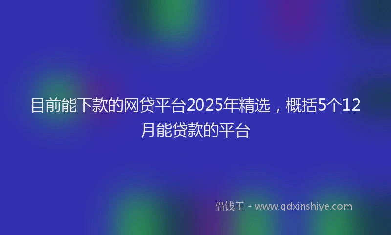 目前能下款的网贷平台2025年精选，概括5个12月能贷款的平台