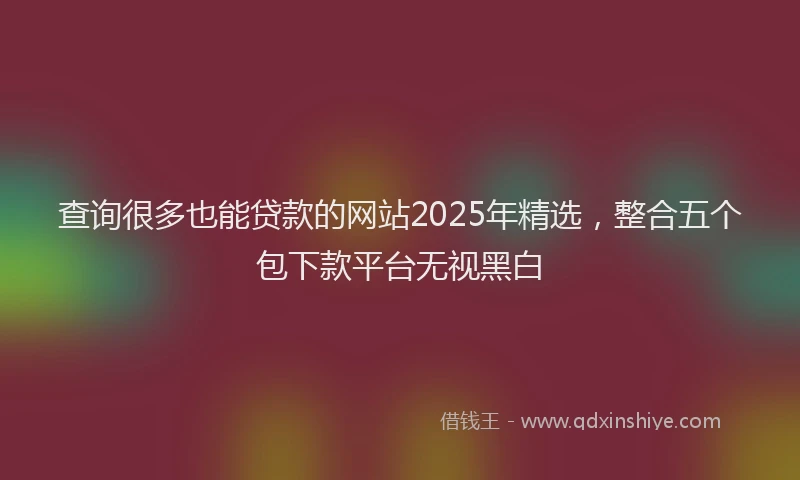 查询很多也能贷款的网站2025年精选，整合五个包下款平台无视黑白