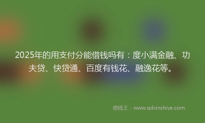 2025年的用支付分能借钱吗有：度小满金融、功夫贷、快贷通、百度有钱花、融逸花等。