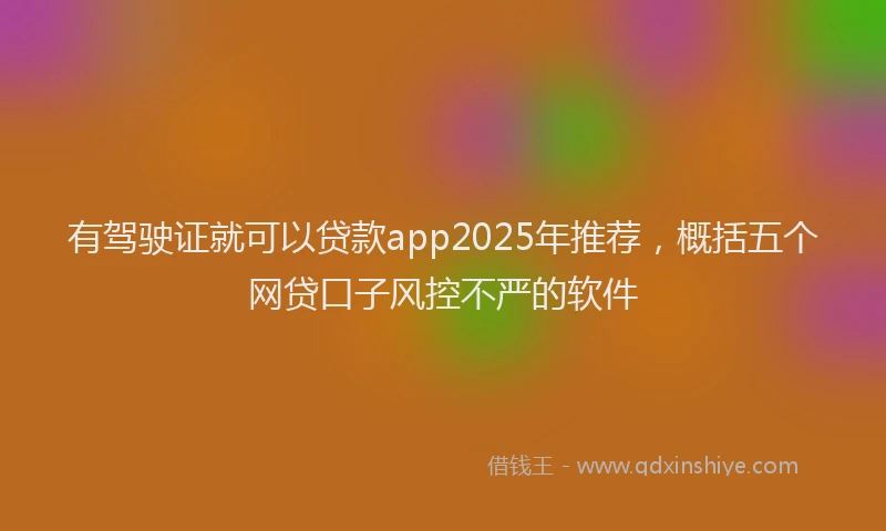 有驾驶证就可以贷款app2025年推荐，概括五个网贷口子风控不严的软件