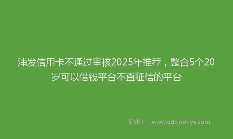 浦发信用卡不通过审核2025年推荐，整合5个20岁可以借钱平台不查征信的平台