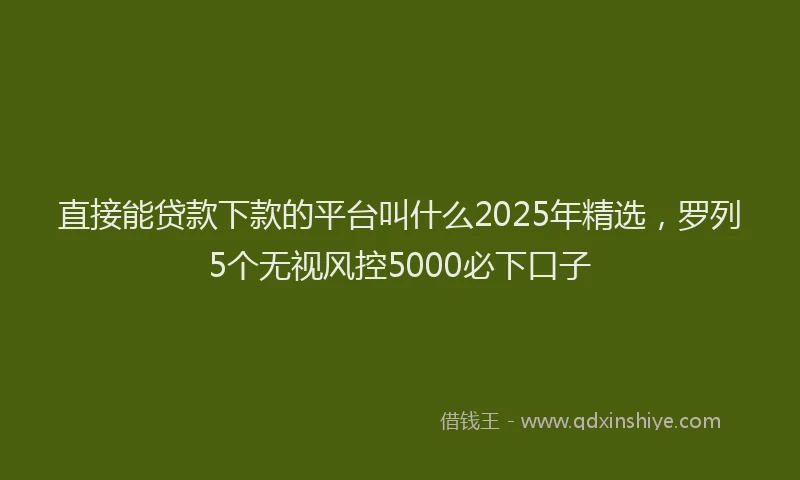 直接能贷款下款的平台叫什么2025年精选，罗列5个无视风控5000必下口子