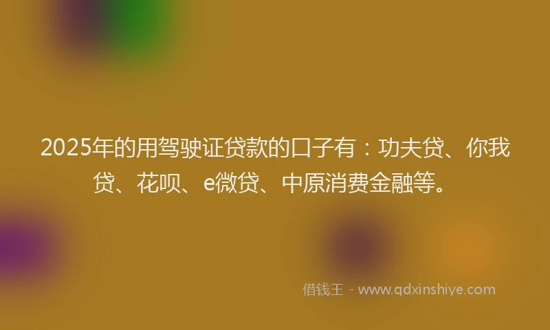 2025年的用驾驶证贷款的口子有：功夫贷、你我贷、花呗、e微贷、中原消费金融等。