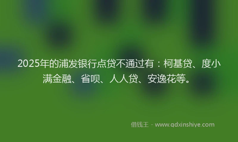 2025年的浦发银行点贷不通过有：柯基贷、度小满金融、省呗、人人贷、安逸花等。