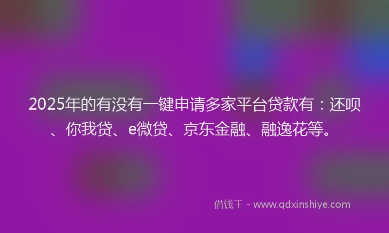 2025年的有没有一键申请多家平台贷款有：还呗、你我贷、e微贷、京东金融、融逸花等。