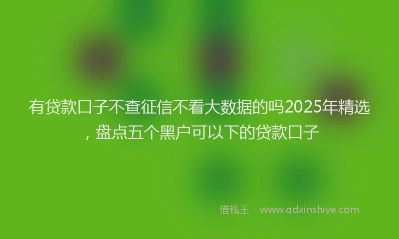 有贷款口子不查征信不看大数据的吗2025年精选，盘点五个黑户可以下的贷款口子