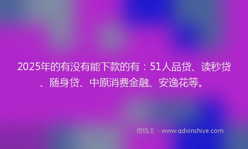 2025年的有没有能下款的有：51人品贷、读秒贷、随身贷、中原消费金融、安逸花等。