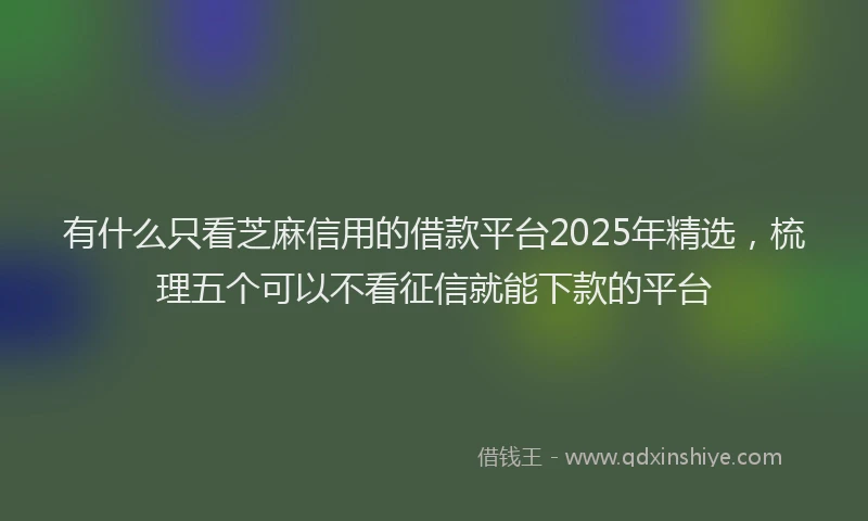 有什么只看芝麻信用的借款平台2025年精选，梳理五个可以不看征信就能下款的平台