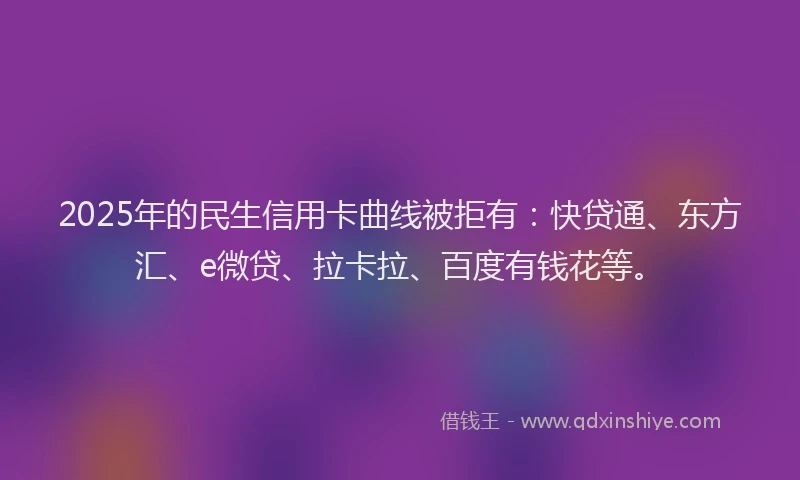 2025年的民生信用卡曲线被拒有：快贷通、东方汇、e微贷、拉卡拉、百度有钱花等。