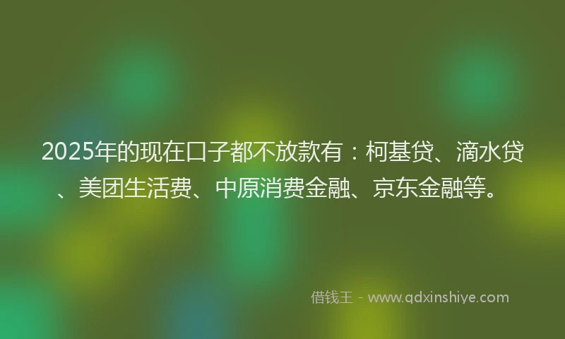 2025年的现在口子都不放款有：柯基贷、滴水贷、美团生活费、中原消费金融、京东金融等。