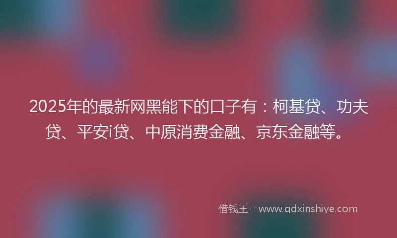 2025年的最新网黑能下的口子有：柯基贷、功夫贷、平安i贷、中原消费金融、京东金融等。