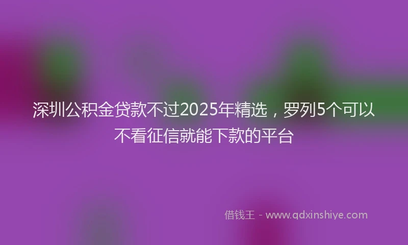 深圳公积金贷款不过2025年精选，罗列5个可以不看征信就能下款的平台
