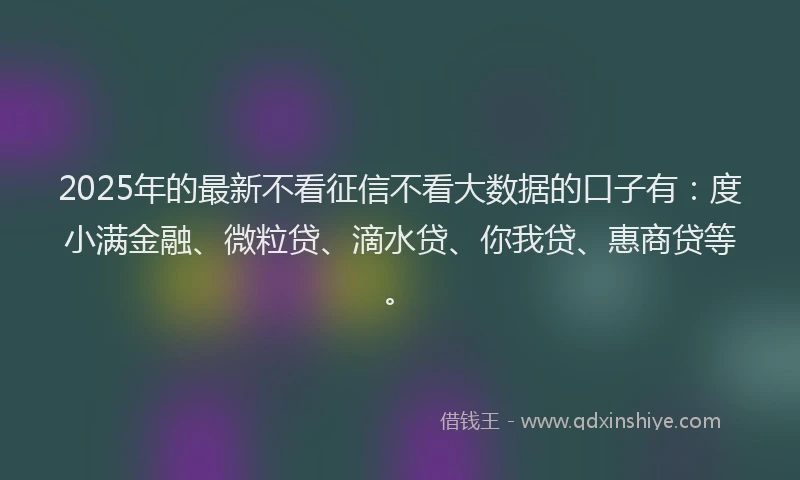 2025年的最新不看征信不看大数据的口子有：度小满金融、微粒贷、滴水贷、你我贷、惠商贷等。
